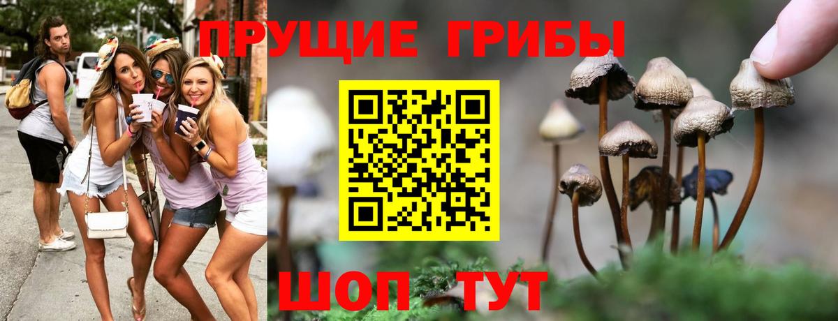 наркота  Галлюциногенные грибы прущие грибы  Вход с VPN  Кимры 