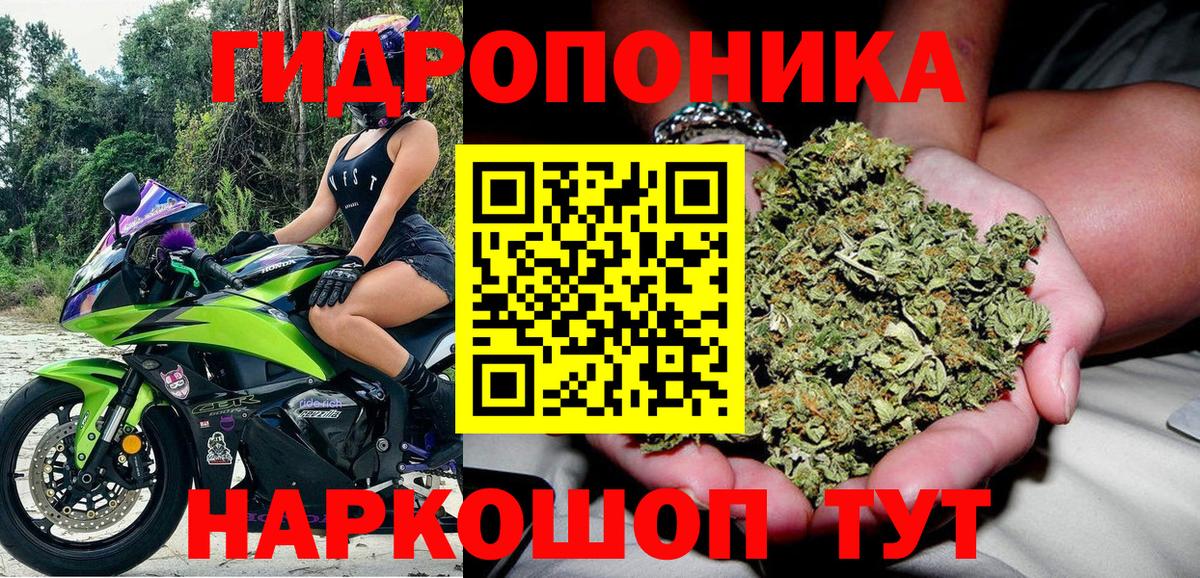 Конопля SATIVA & INDICA Кимры